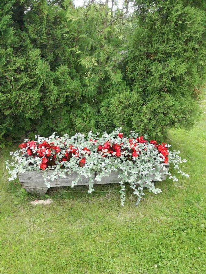 Ala Juusa Holiday Home Ihamaru Buitenkant foto